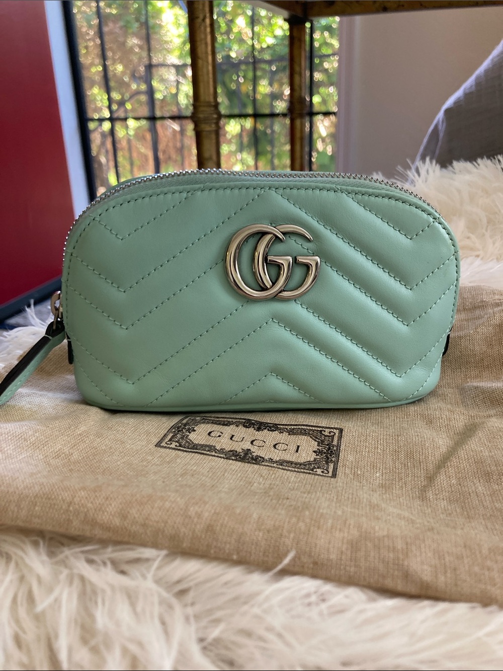 Gucci Mint Green Cosmetic Pouch Case